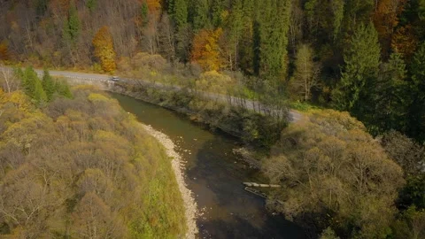 View from the height on the autumn landscape - river, forest on a mountainside Stock Footage 133718273
