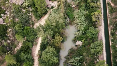 View from a height of a calm river between the trees Stock Footage 240541614