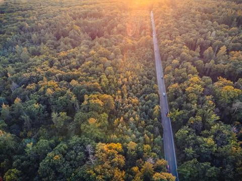 View from a height down on the autumn forest in a golden hour. Sunset, golden Fotos Stock