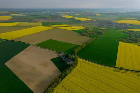 View from a height of fields and countryside, rapeseed and wheat plantations. Stock Photos