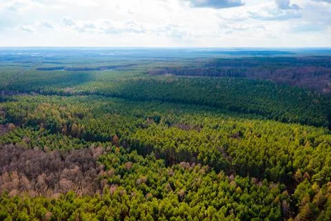 View from a height of the forest. Forest ecosystem and healthy environment co Stock Photos