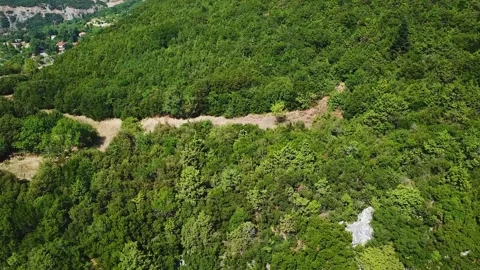View from a Height of the Forest on the Mountain Stock Footage 239250583