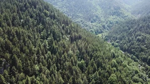 View from a height of the forest in mountains Stock Footage 237986497