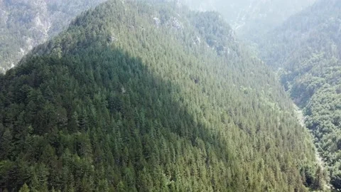 View from a height of the forest in Valley Stock Footage 237986522