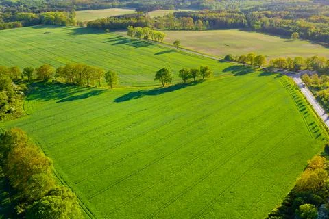 View from a height of green fields and trees, summer nature Foto stock