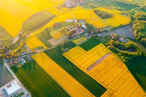 View from a height of green fields and trees, summer nature Stock Photos