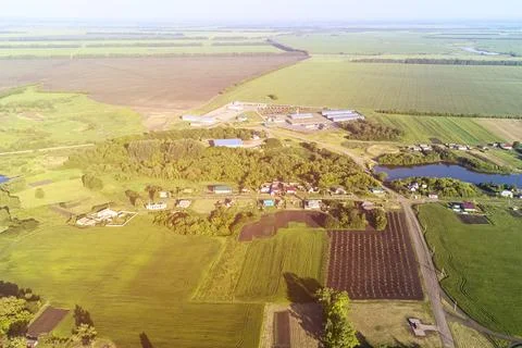 View from a height to the green fields of crops, the pond for irrigation, the Stock Photos