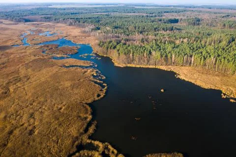 View from the height of the lake Papernya in Belarus. The Nature Of Belarus Foto stock