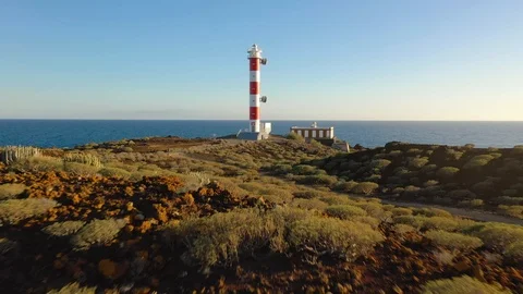 View from the height on the lighthouse, nature and the ocean around. Lighthouse Stock Footage 123457276