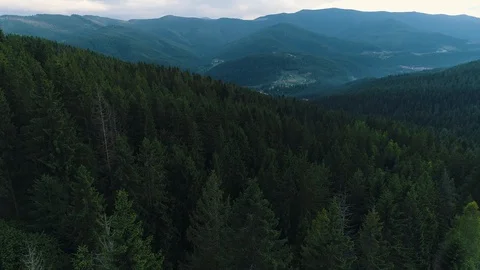 View from a height of a mountain forest Stock Footage 118624340