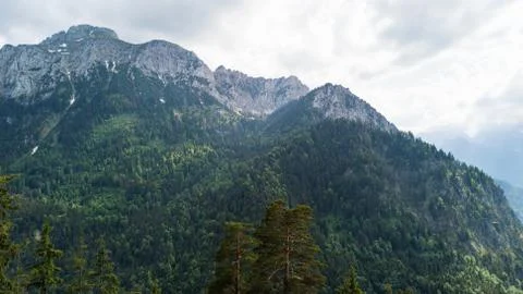 View from a height to a mountain range with coniferous trees Stock Photos
