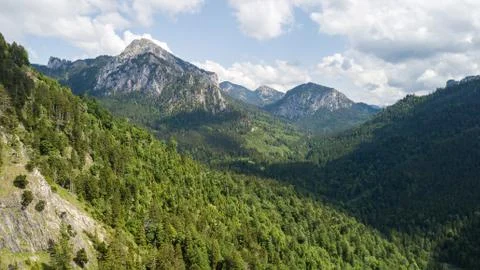 View from a height to a mountain range with coniferous trees Stock Photos