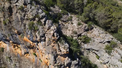 View from a height to the mountain slope with trees and grass Stock Footage 241514953
