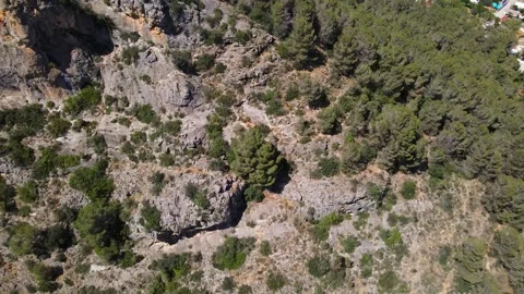 View from the height to the mountain slope with trees and grass Stock Footage 241515282