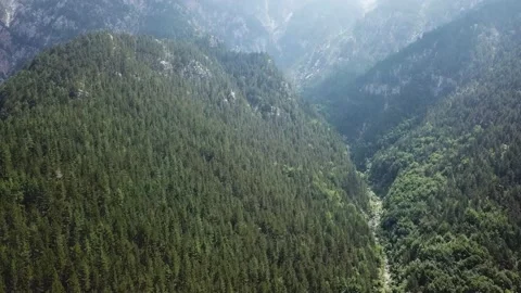 View from a Height of a pine Forest in the Mountains Stock Footage 237986640