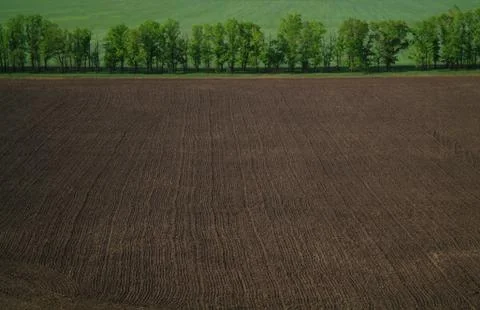 View from a height in a plowed field Stock Photos