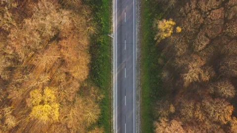 View from the height on the road surrounded by autumn forest Stock Footage 105924832