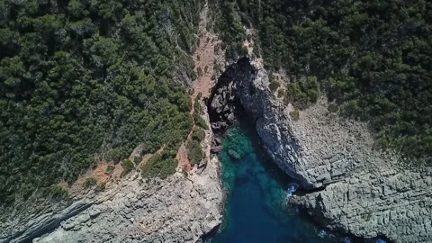 View from a height of sea and forest on shore Stock Footage 237053014