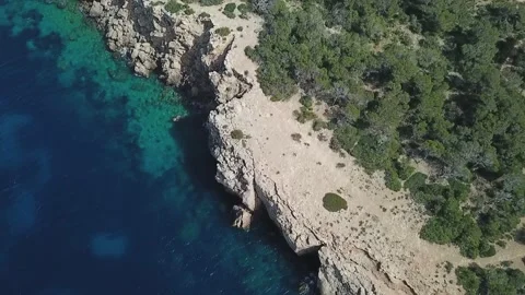 View From A Height to sea coast with trees Stock Footage 237053384