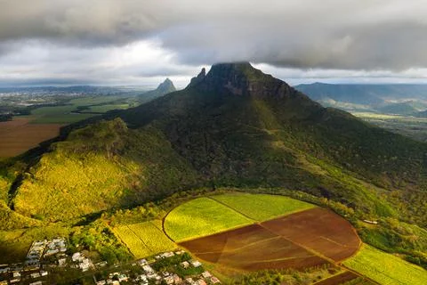 View from the height of the sown fields located on the island of Mauritius Stock Photos