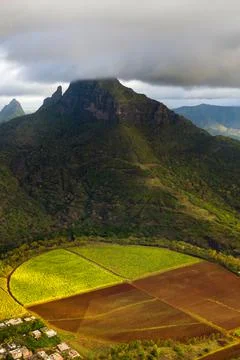 View from the height of the sown fields located on the island of Mauritius Stock Photos