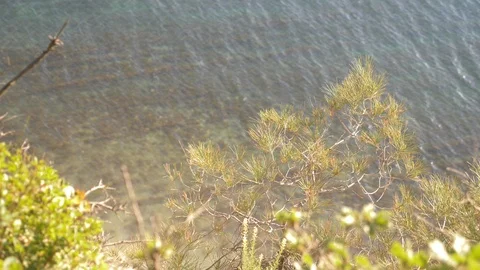 View from the height to the sunset over the sea, 4k Stock Footage 90013932