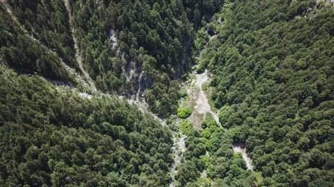 View from a Height of a Valley with Trees Stock Footage 237986798