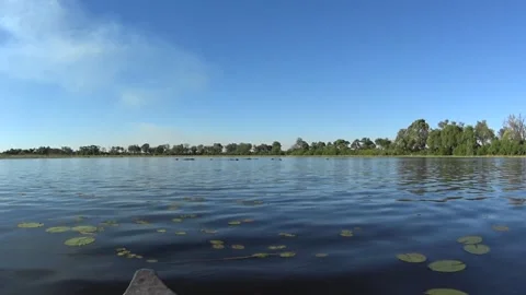 View of a herd of hippos in the water from a safe distance, from a mokoro, a Stock Footage 303801268
