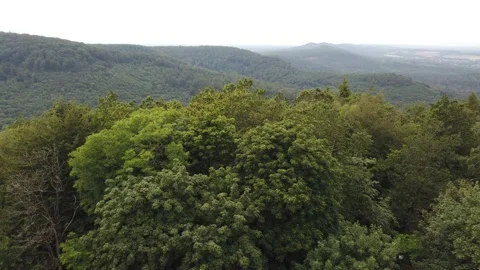 View from the Hermann Memorial to the Teutoburger Forest in Germany [4K50p] Stock Footage 131157600
