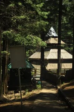View of Hidimba Devi Temple with cedar trees around  Stock Photos