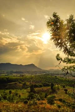 View from the high angle, on the hill, the orange light is lenticular from th Stock Photos