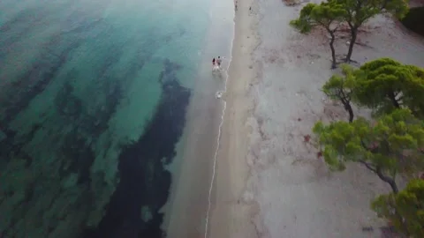 View from the High to the Beach with Trees Stock Footage 239178876