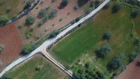 View from high to fields and gardens Stock Footage 237052681