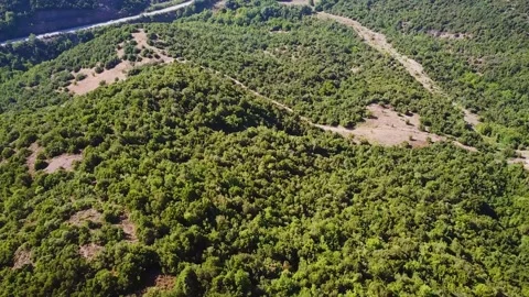 View from the High to the Forest in Mountains Stock Footage 239248001