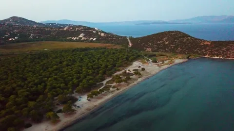 View from the High to the Forest on the Seacoastline Stock Footage 239178960