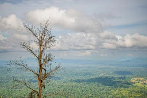 The view on a high hill with leafless trees is the foreground, behind it is t Stock Photos