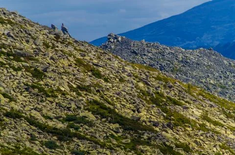 View from high mountain. clouds in the sky Stock Photos