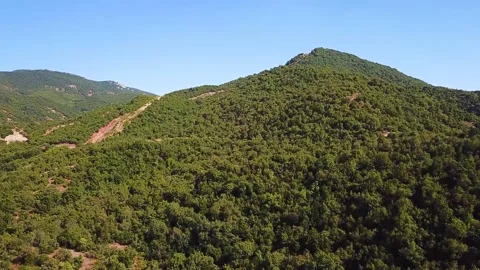 View from The High to the Mountain with Forest Stock Footage 239250198