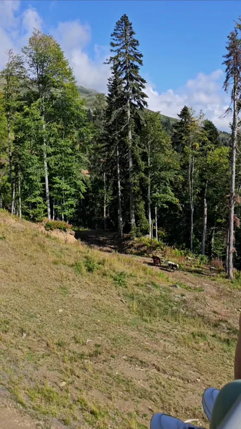 View of High Mountains and Forest Valley from Moving Cable Car Video stock 330586342