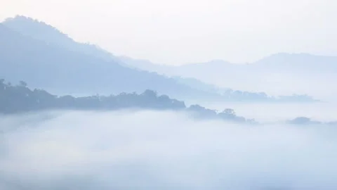 View of a high mountains in tropical rainforest covered in fog during morning Video stock 135301623