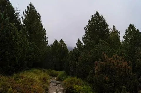 View of high Tatra Stock Photos