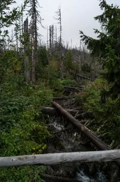 View of high Tatra Stock Photos