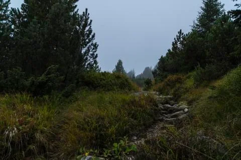 View of high Tatra Stock Photos