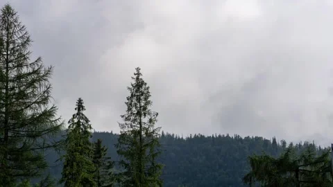 View of the High Tatras from the Polish side and Kasprowy peak Stock Footage 253664924