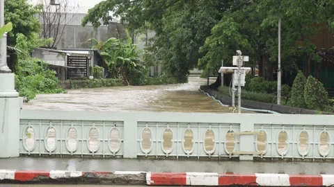 View of highest level of water flooded in canal over the bothside of canel's ban Видео 338023300