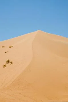 View of the highest sand dune of Erg Chebbi in the Moroccan desert at Merzouga Foto stock