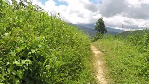 View of highlands in Borneo, Malaysia, camera move Stock Footage 144045839