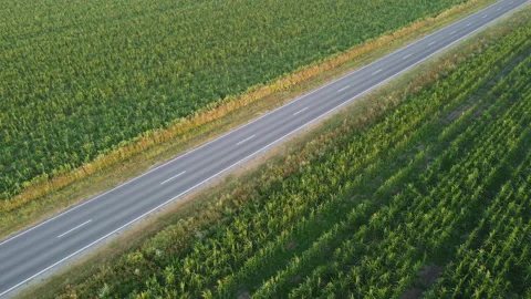 View of the highway Stock Footage 164600148