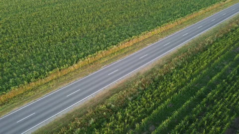 View of the highway Stock Footage 164600175