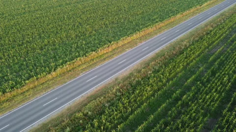 View of the highway Stock Footage 164600714